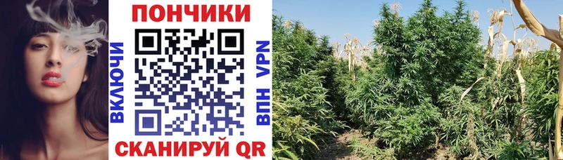 Купить наркотики Ершов Бошки Шишки  МЕТАДОН  Кокаин  ГАШИШ  МЕФ 