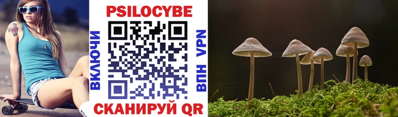 Псилоцибиновые грибы MAGIC MUSHROOMS  цена   это формула  Ершов 